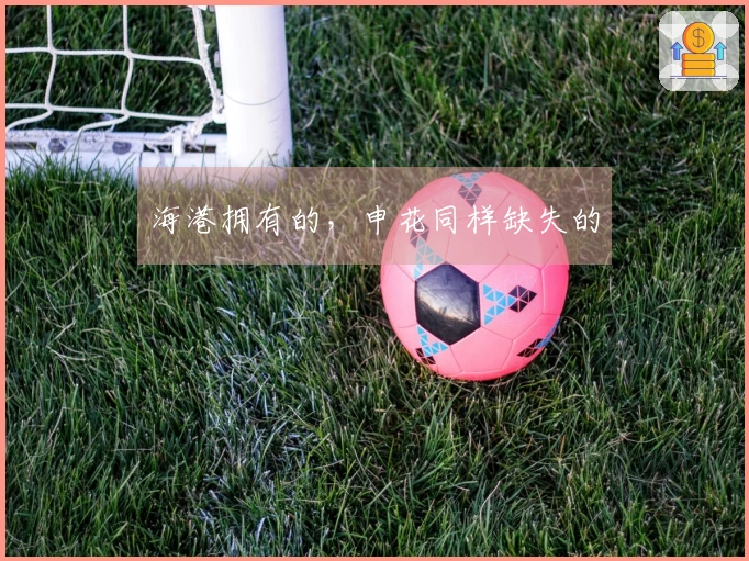 海港拥有的,申花同样缺失的