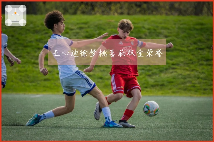 王心迪徐梦桃喜获双金荣誉