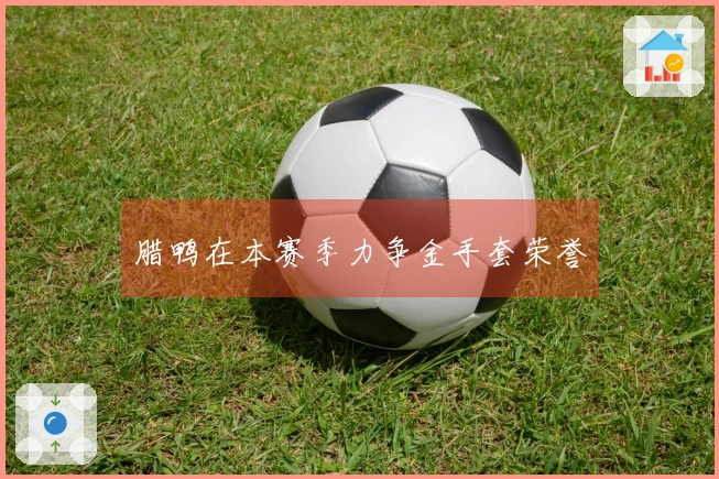 腊鸭在本赛季力争金手套荣誉